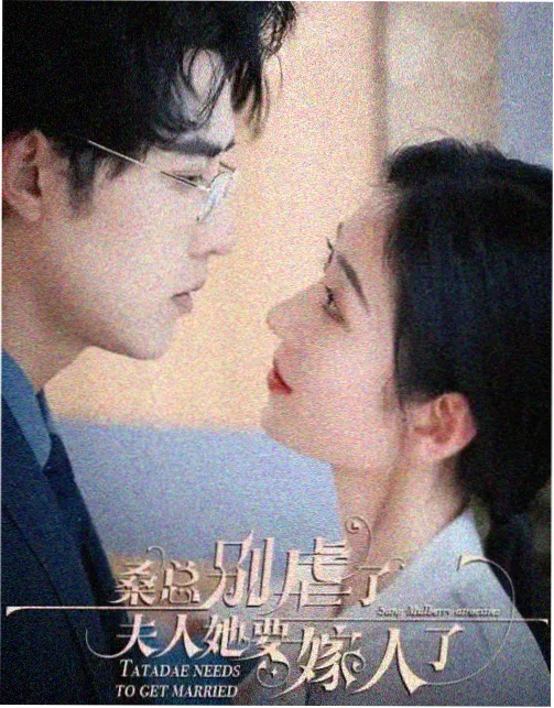 第七个证人 热播剧集